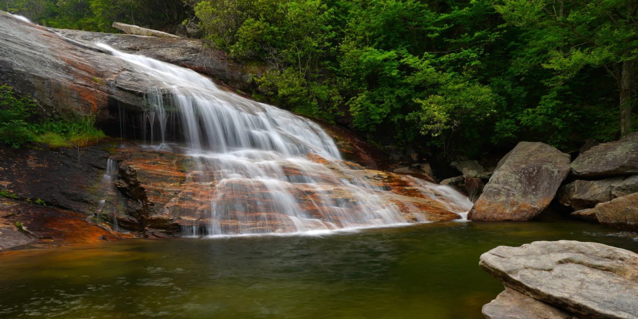 Graveyard Fields Loop Trail