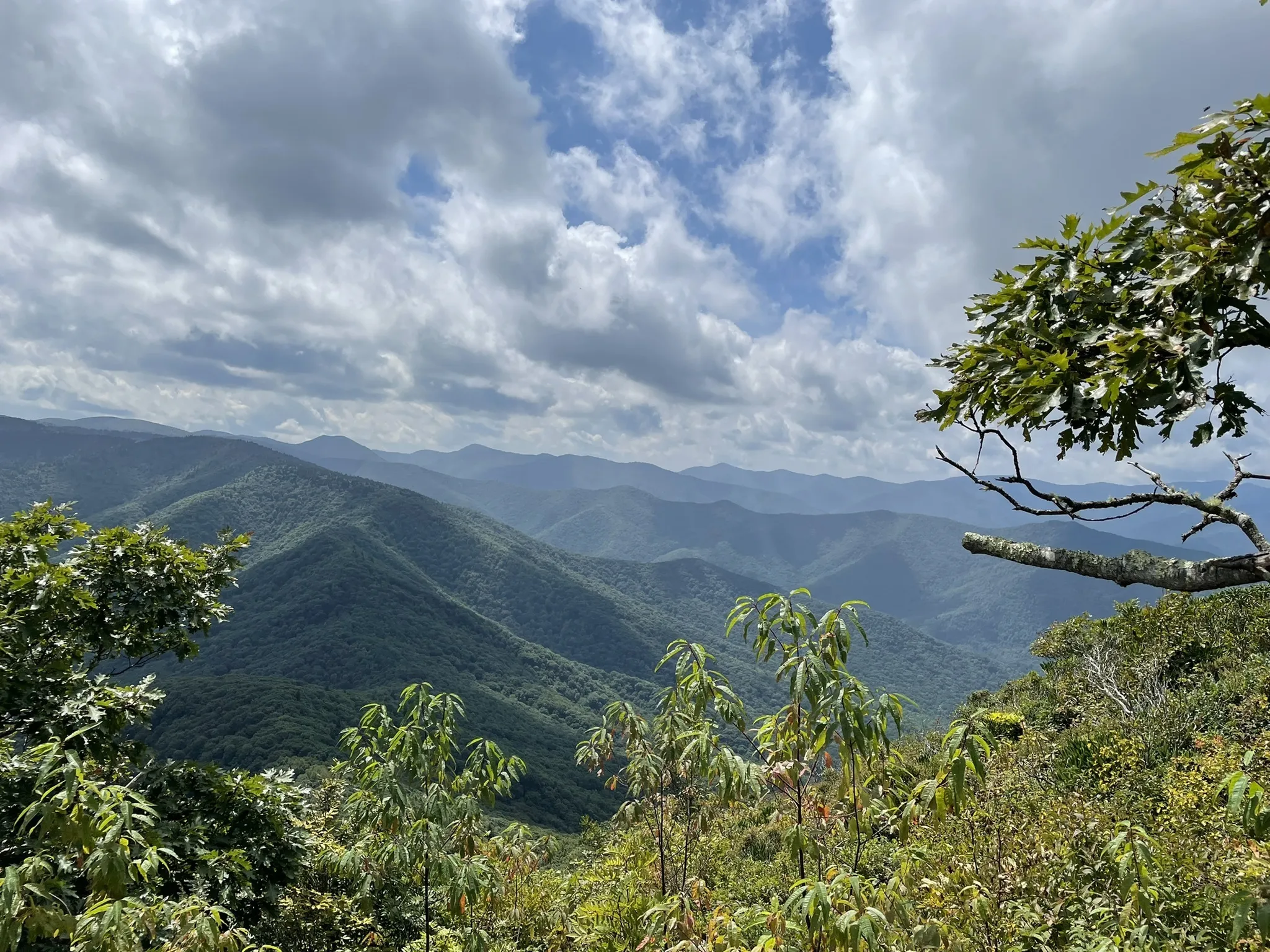 The Art Loeb/Cold Mountain Trailhead