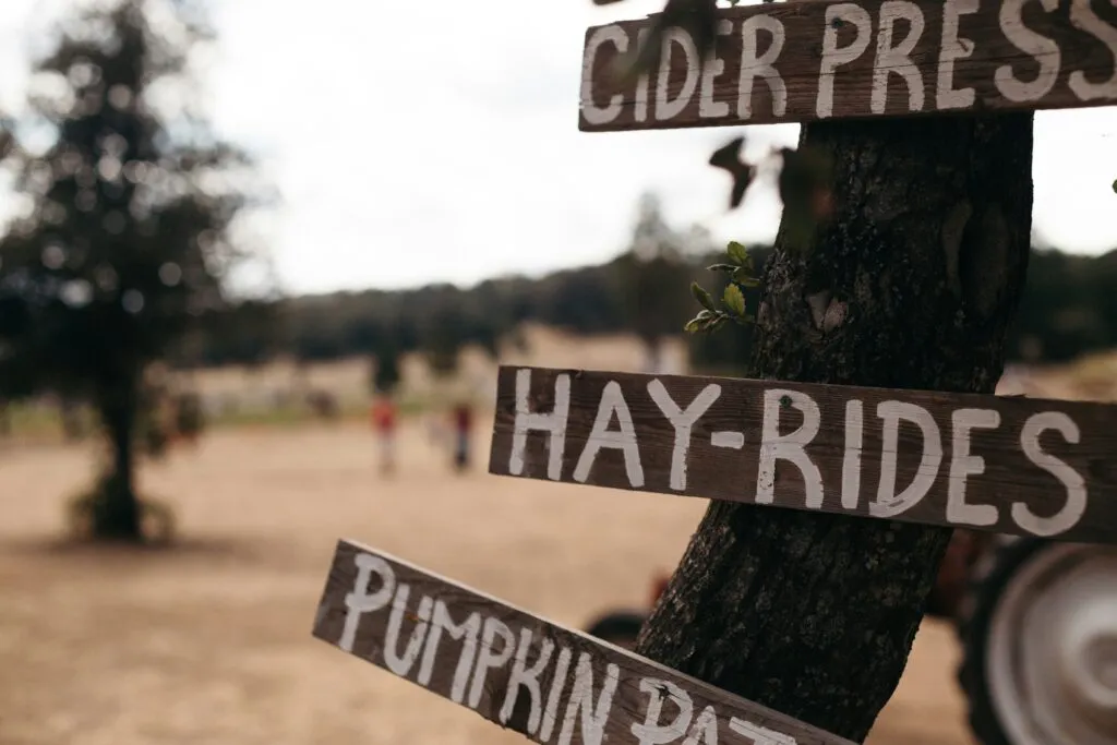 A sign pointing to cider, hay-rides, and pumpkin patches