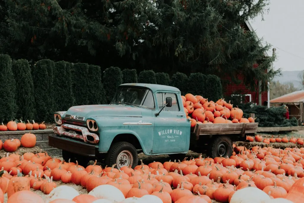 A blue, vintage pickup truck surrounded by pumpkins at a Fall Festival in Chattanooga 