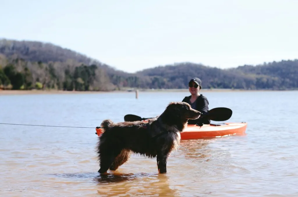 A woman sits in a kayak while an Australian Shepherd dog stands in front of her in the lake