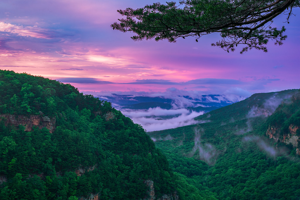 Cloudland Canyon West Rim Loop