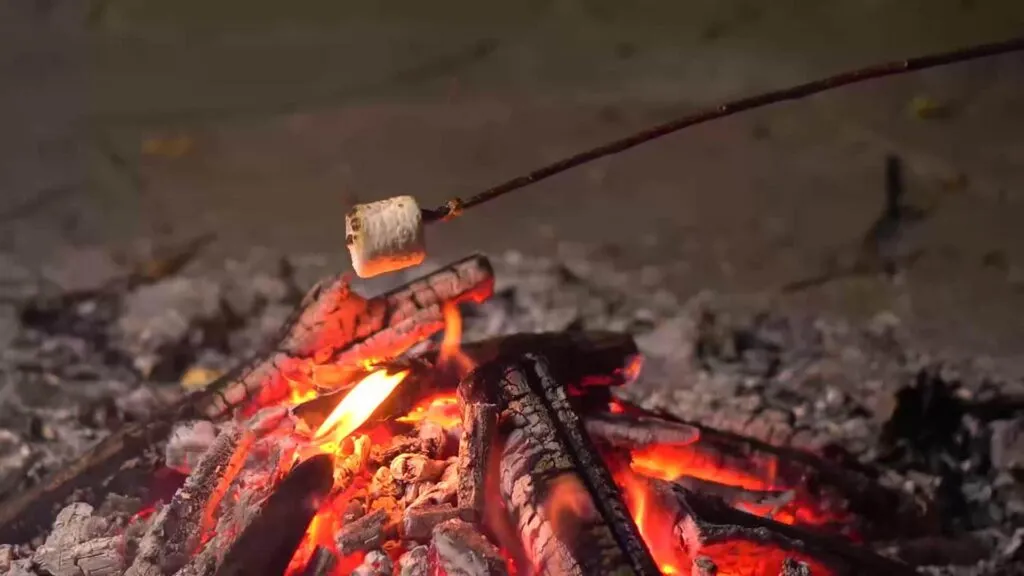 Roasting marshmallows over an open fire