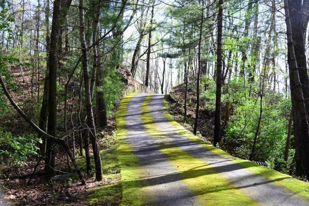 A trail inside a park in Tennessee