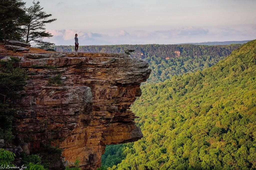 A woman stands on a tall rock in Explore Savage Gulf Natural Area