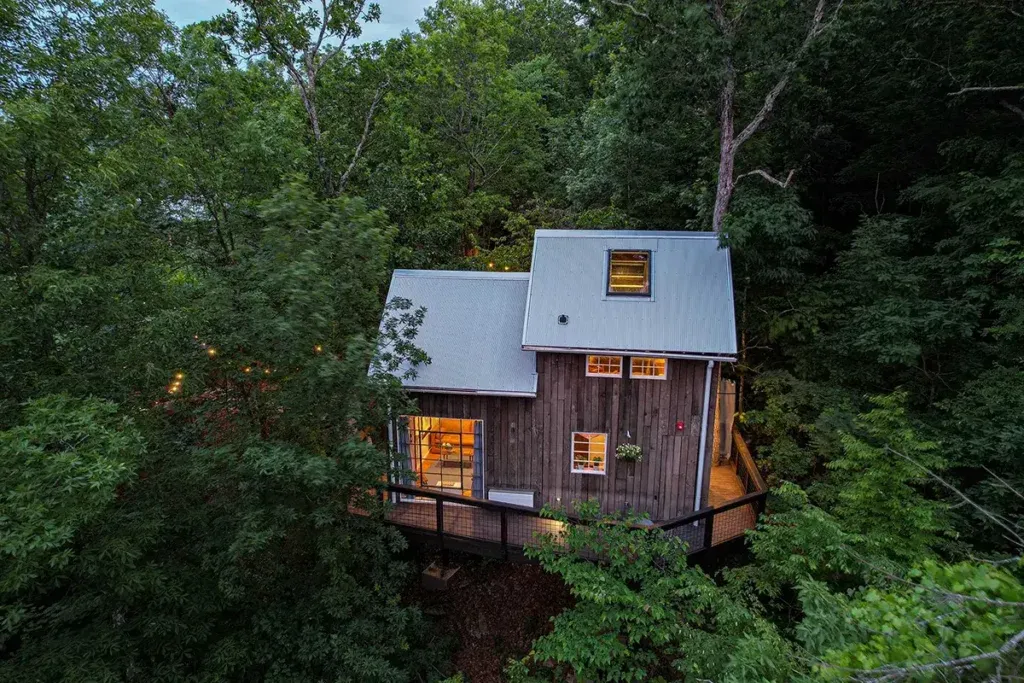 Treehouse in the treetops at dusk