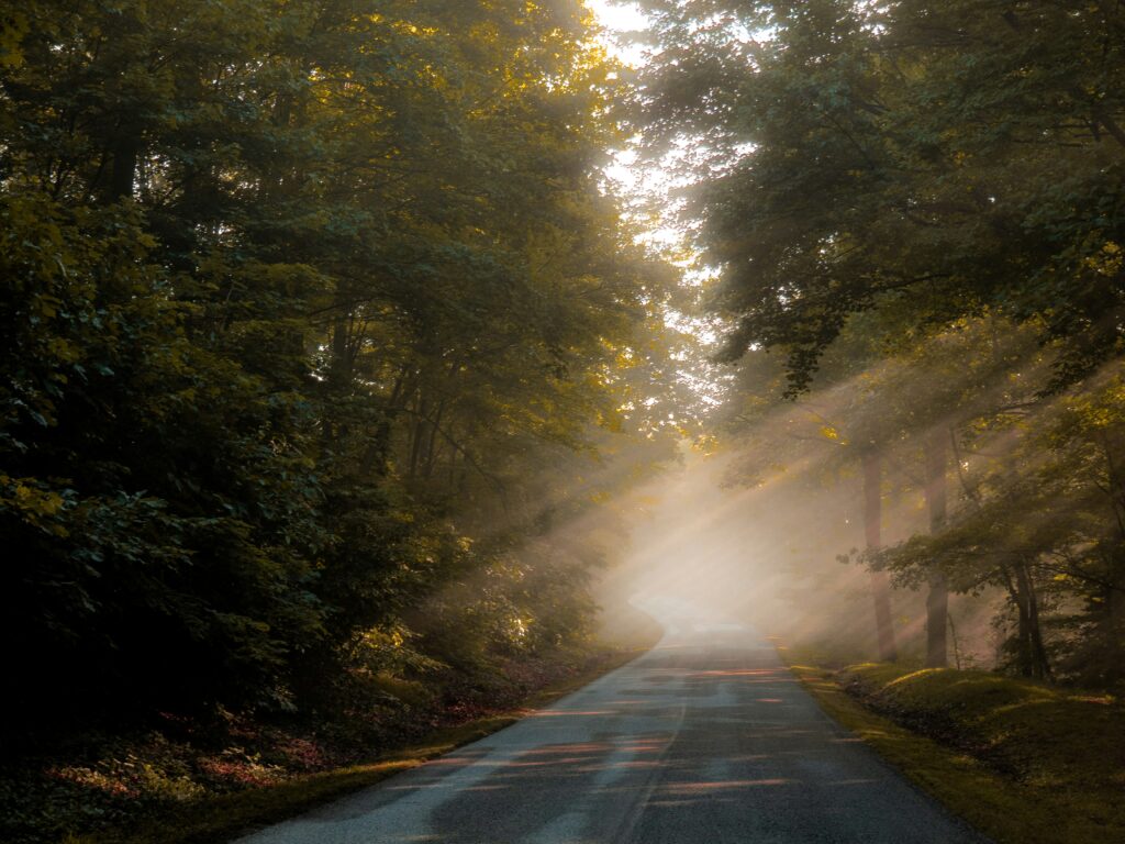 Scenic Byway in Nantahala National Forest