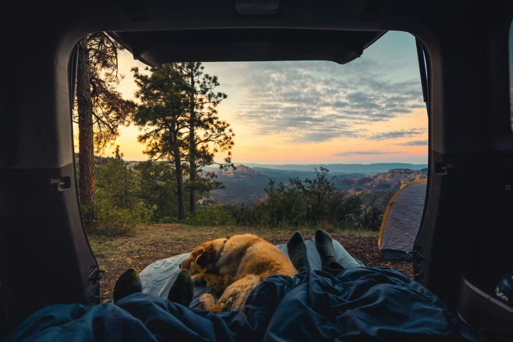 A dog laying at it's owner's feet inside of a tent with a view of hills and trees at sunset