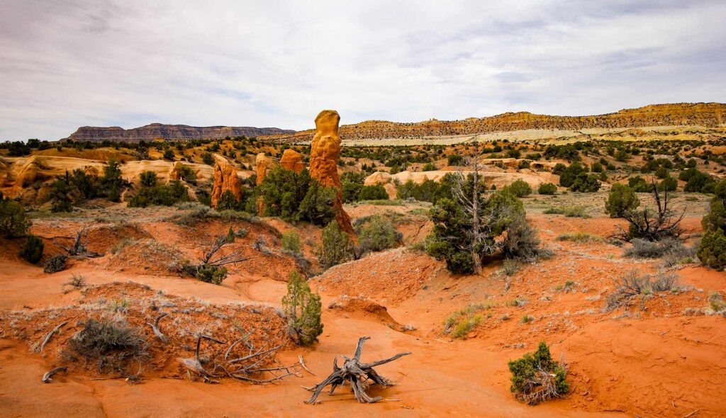 Devil's Garden Grand Staircase Escalante Utah