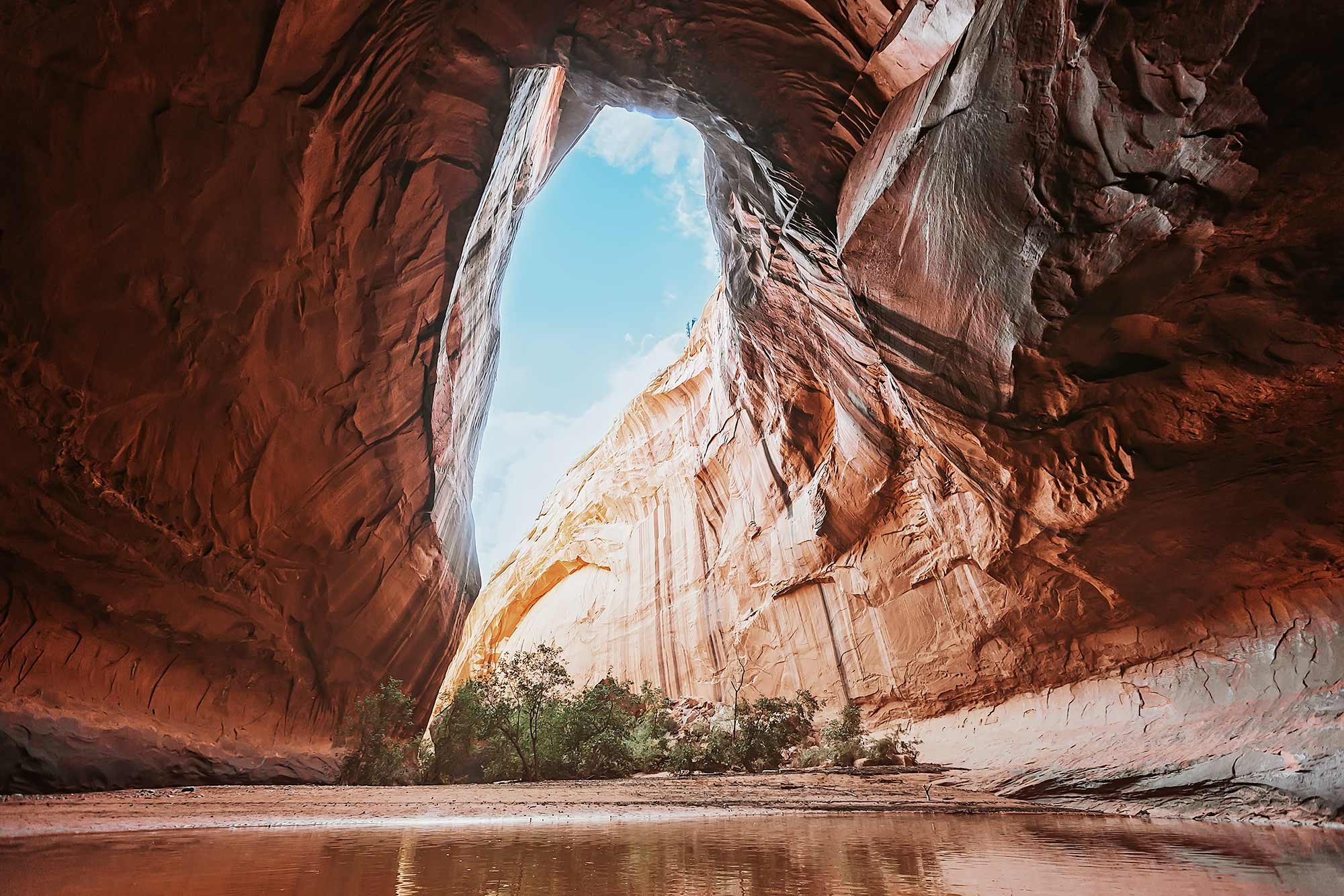 The Golden Cathedral in Neon Canyon with sunlight beaming through natural arches onto a reflective pool and canyon walls.
