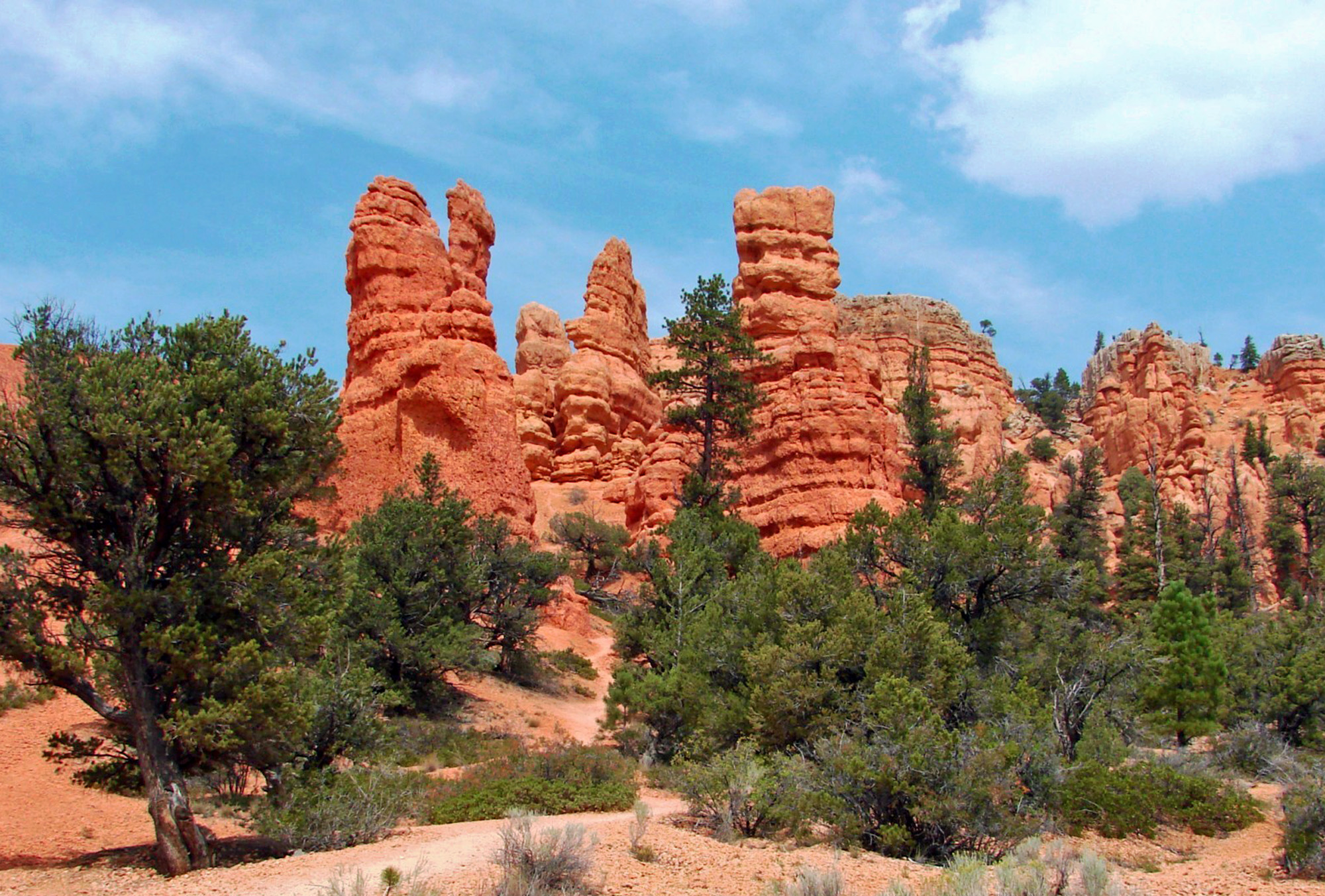 Red Canyon, located within Dixie National Forest,