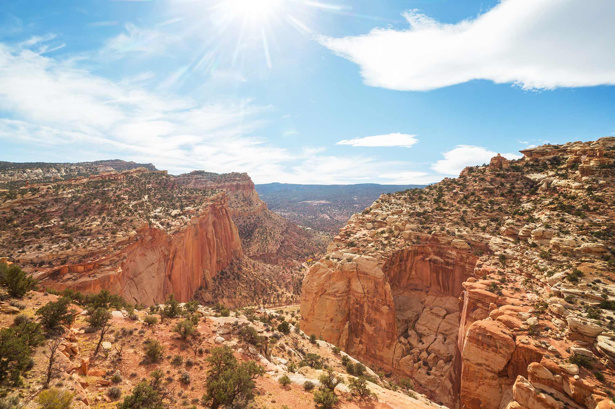 Sunlit view of Capitol Reef National Park featuring rugged red rock cliffs, deep canyons, and scattered desert vegetation under a bright blue sky with wispy clouds.