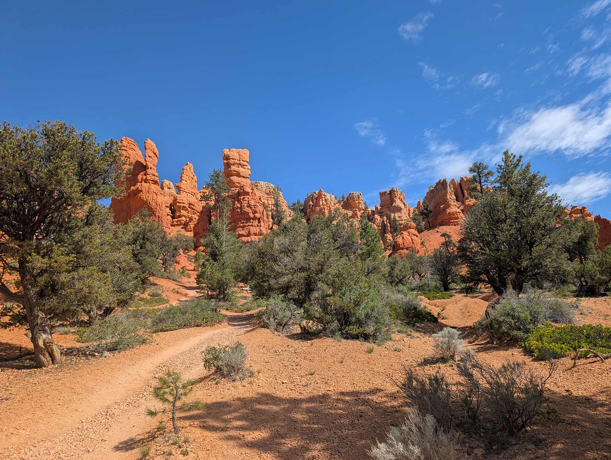 Red Canyon Utah