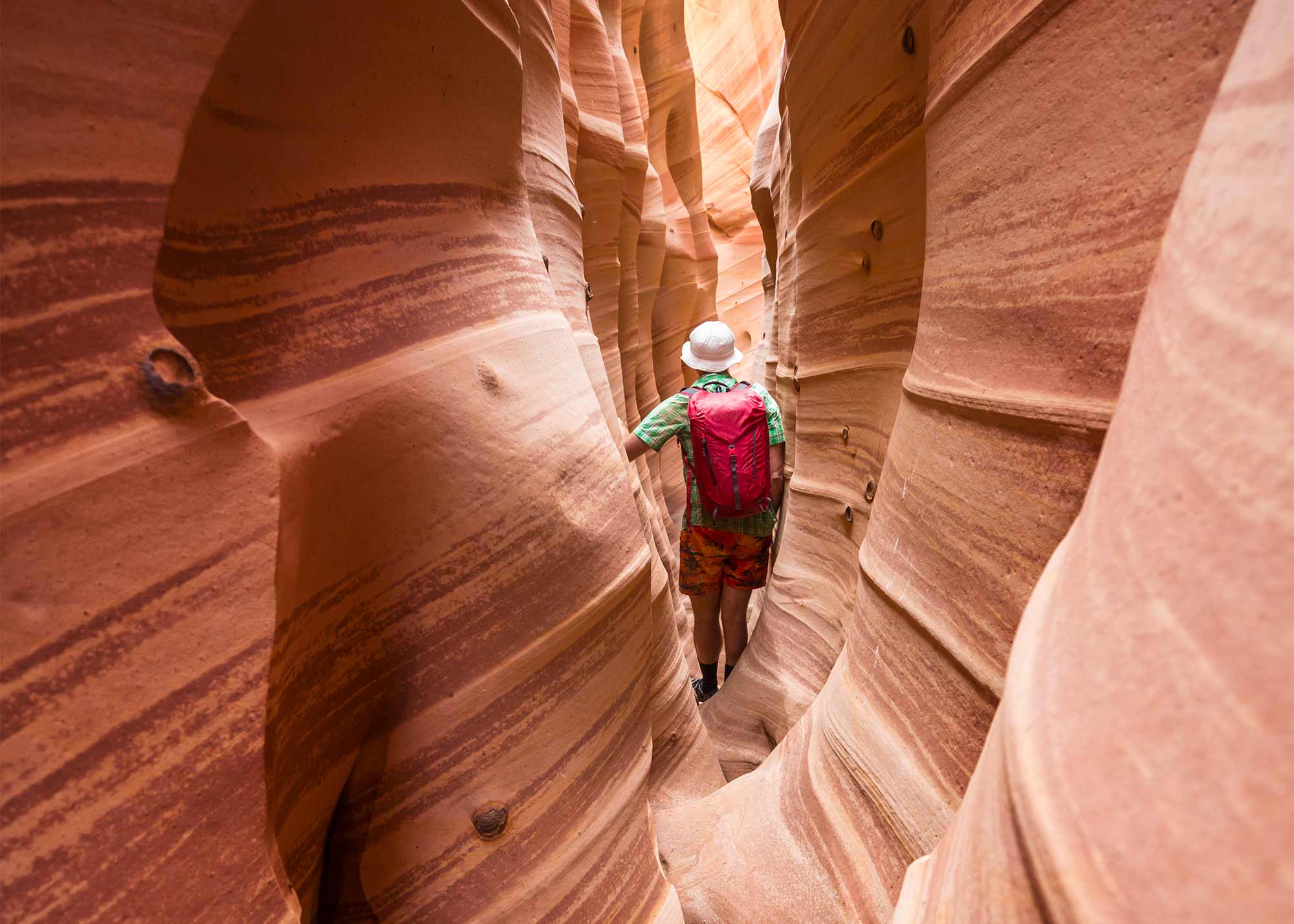 Zebra Slot Canyon in Utah