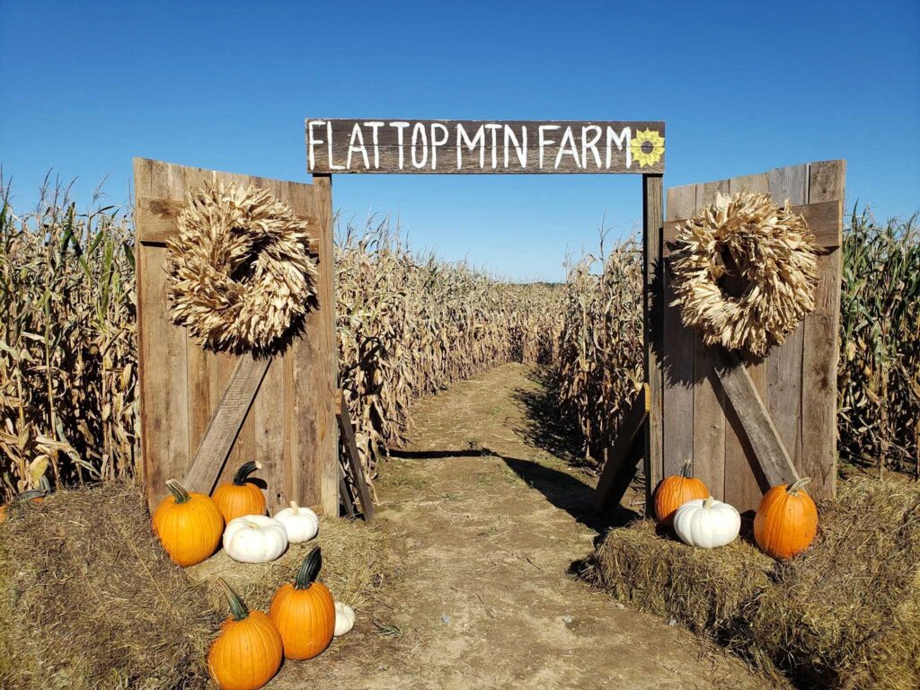 Entrance to the Flat Top Mountain Farm corn maze with pumpkins and hay bales—one of the best pumpkin patches near Chattanooga.