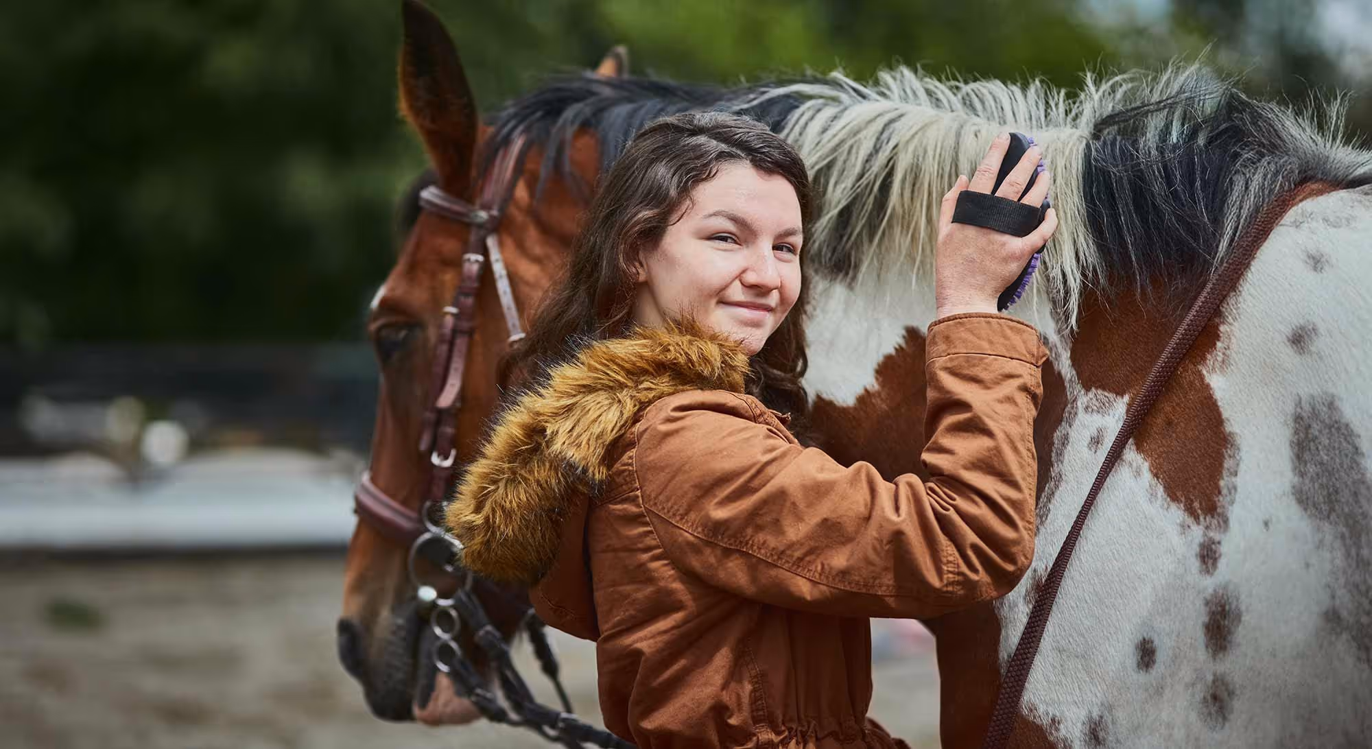 Woman grooming her horse at Quail Run Farm