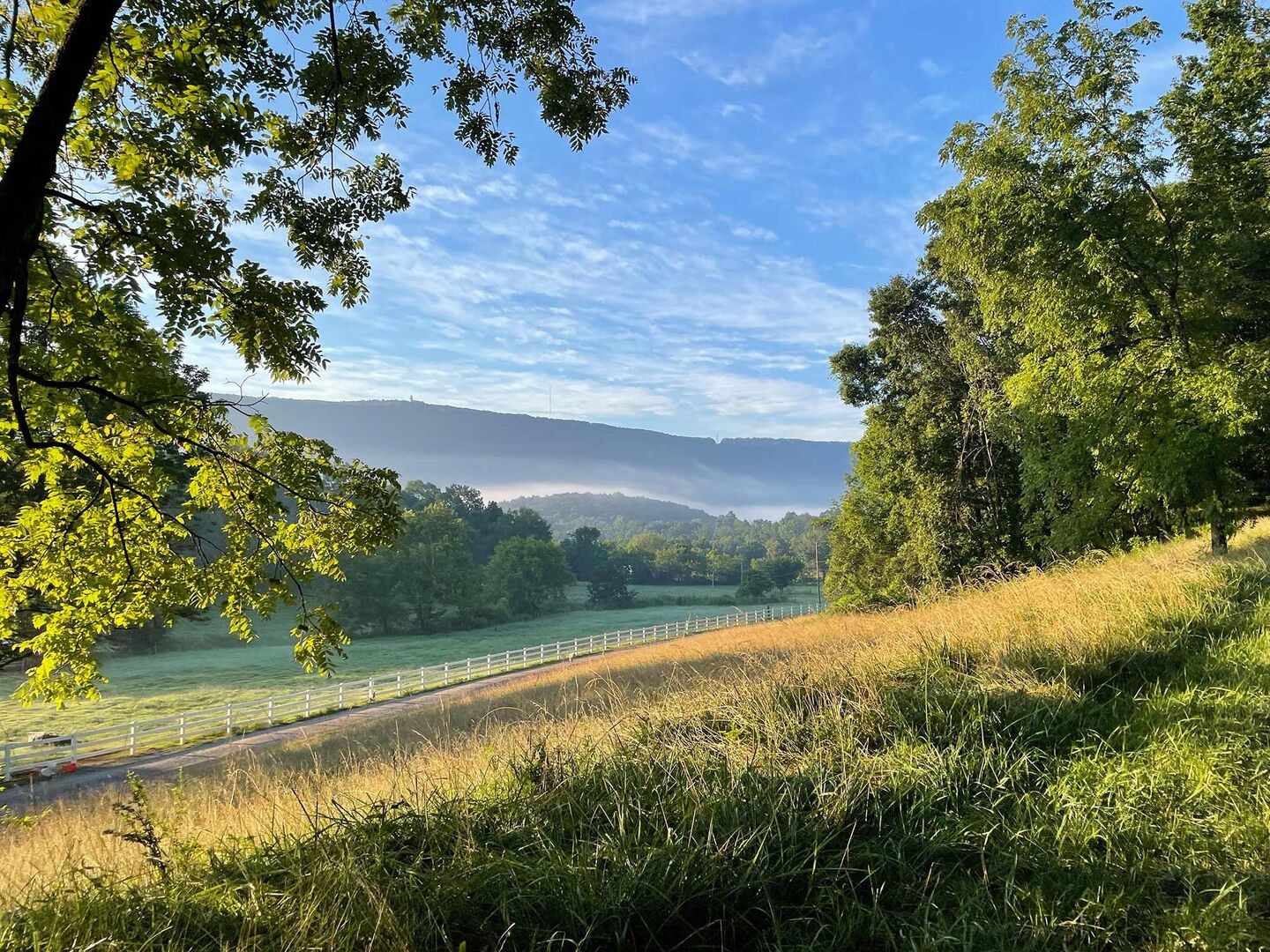 rolling hills surrounding Lookout Mountain at Quail Run Farm