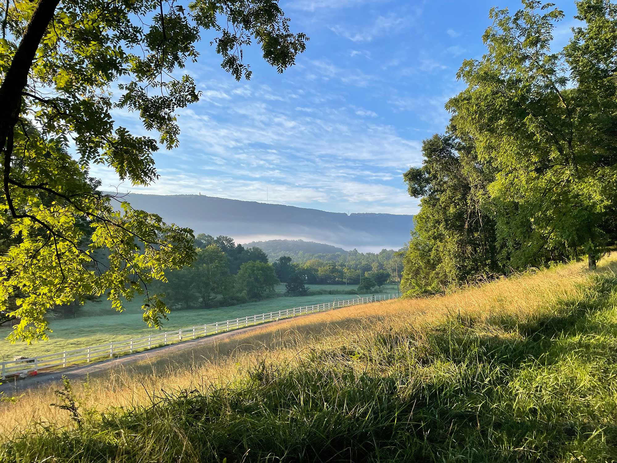 Morning view of Quail Run Farms with rolling green pastures, white fence, and mist rising over the distant mountains under a blue summer sky.