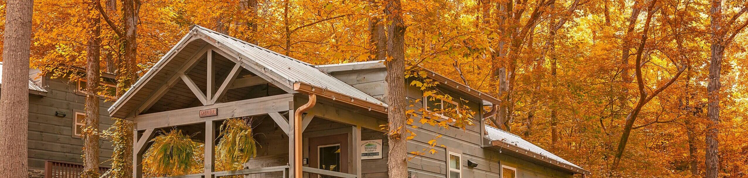cabin at Wauhatchie Woodlands surrounded by fall leaves