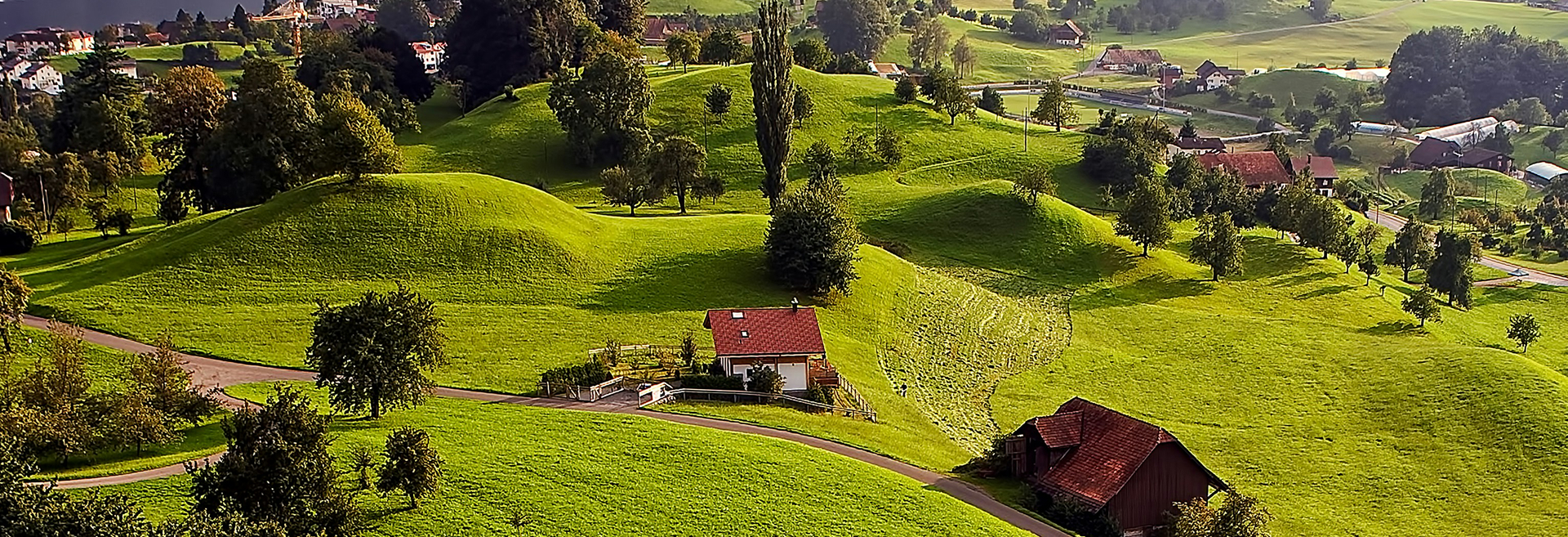 Meet The Timberroot Team