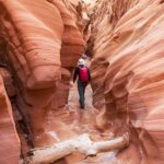 Things To Do In Escalante Utah