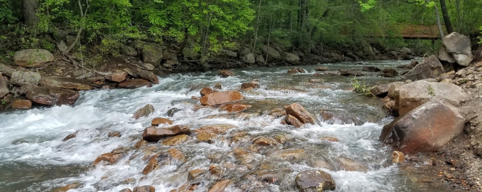 Rocky creek flowing through Big Soddy Creek Gulf near Chattanooga