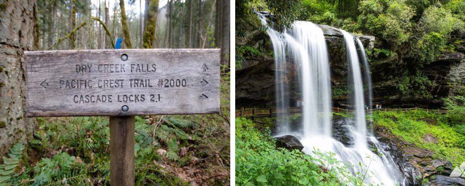Wooden trail sign pointing to Dry Creek Falls and the Pacific Crest Trail in a forested area.
