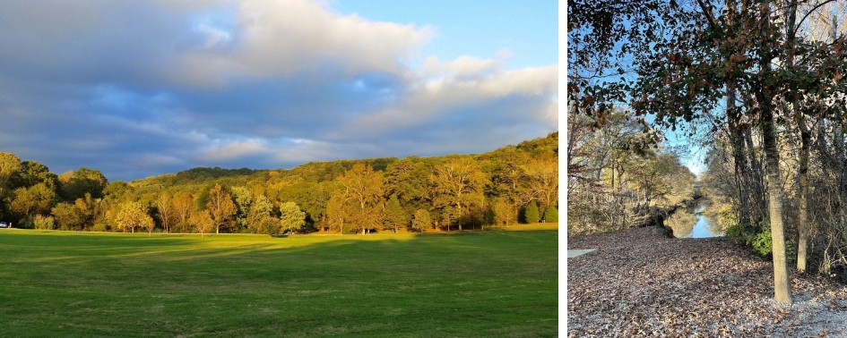 Open grassy fields along Greenway Farms Loop in Hixson, Tennessee