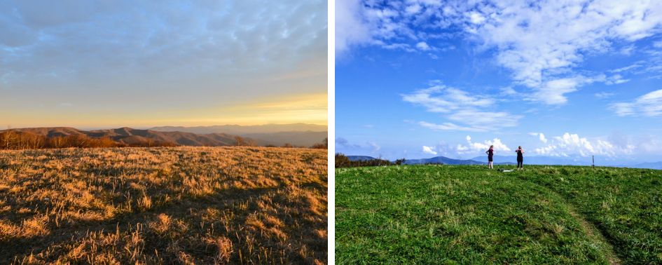 Open mountain meadow at Huckleberry Knob with distant Blue Ridge views.