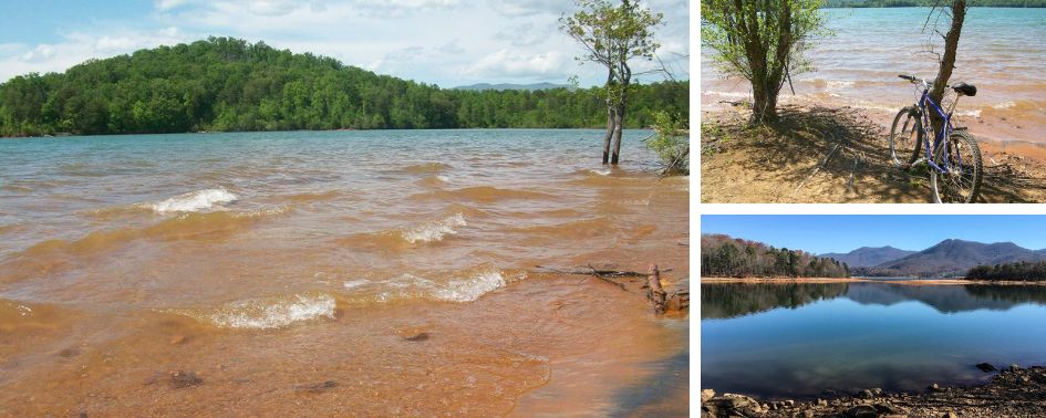 Shoreline along Lake Chatuge on the Jackrabbit Trail.