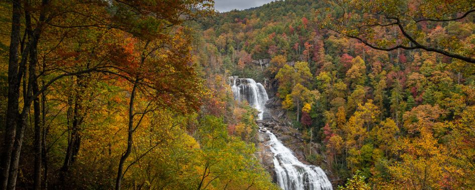 Whitewater Falls in Autumn