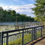 Chattanooga Riverwalk Guide: Best Access Points & Activities