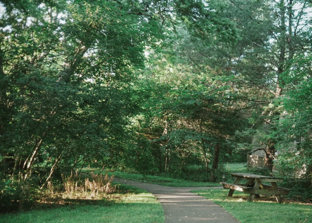 chester frost park trees and trails in chattanooga tn