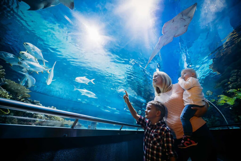 Family viewing colorful fish exhibits inside Chattanooga aquarium