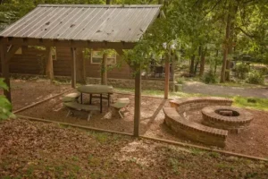 63bd7622d6c5a3b04de1dd01 timberroot ammenity firepit picnic table chattanooga p 500