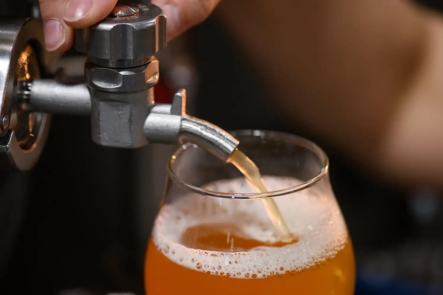 649da110958faa1e89462ccb 649c91111cc5147078e4e930 640b9d642e2b1610e40c91ba five wits brewing co chattanooga 1500x1000 1