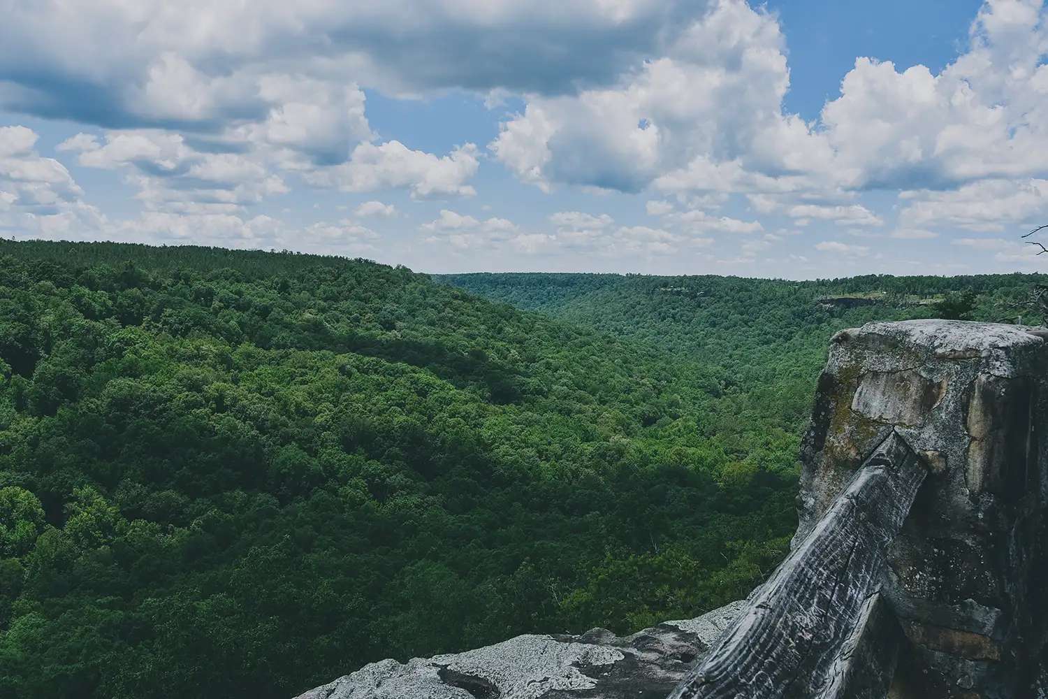 649da116958faa1e89463390 649c91171cc5147078e4ed16 640b89ed10f75f06d40e113c buck2527s pocket state park 1500x1000 1