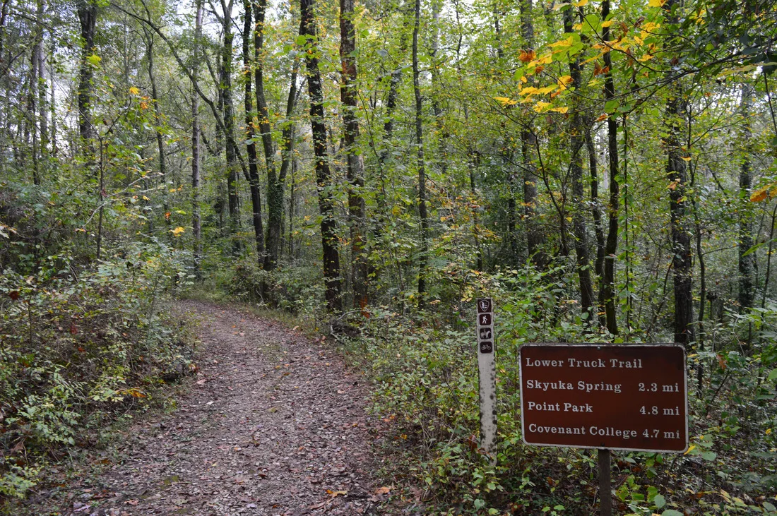 64cd60556febf6b42f19d446 skyuka and lower truck loop trail hiking chattanooga