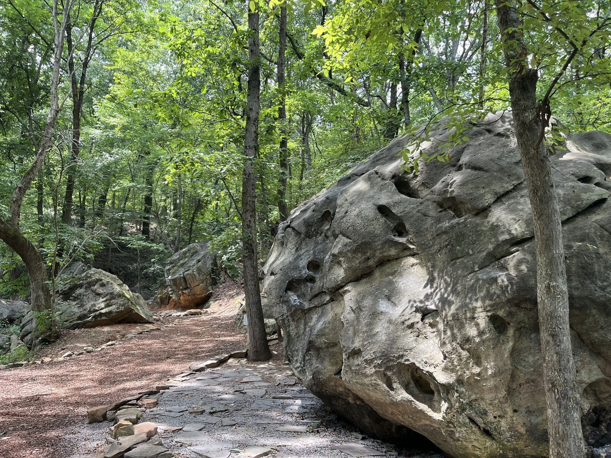 64cd608dc2a21bcbc11c4c52 guild hardy trail hiking chattanooga