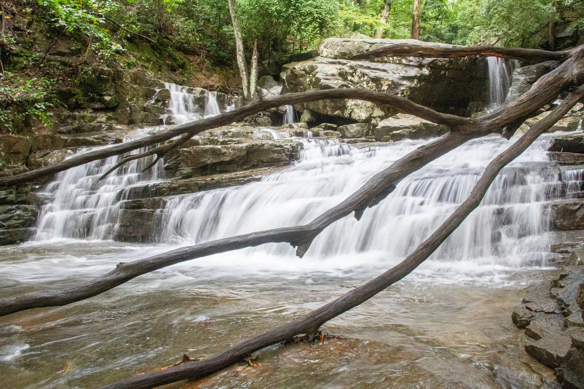 64e3accebda6527045eaf609 glen falls chattanooga tn