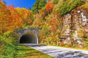 651390e065f9155c5115137c blue ridge parkway tunnel in pisgah national forest p 800