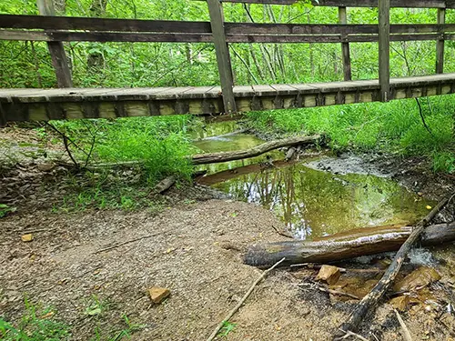 mckamy lake trail loop