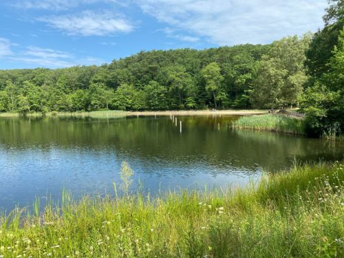 mccamy lake trail and forest walk loop