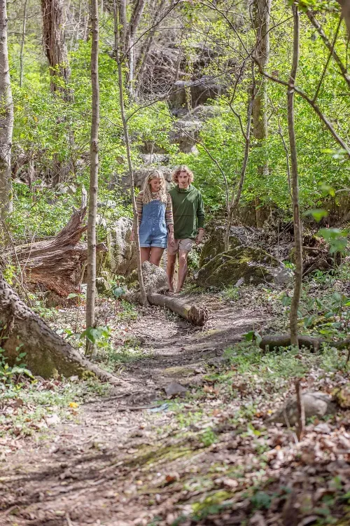 6539694da4e27cb29dd9f5c4 sophies spur hiking trail wauhatchie woodlands p 500