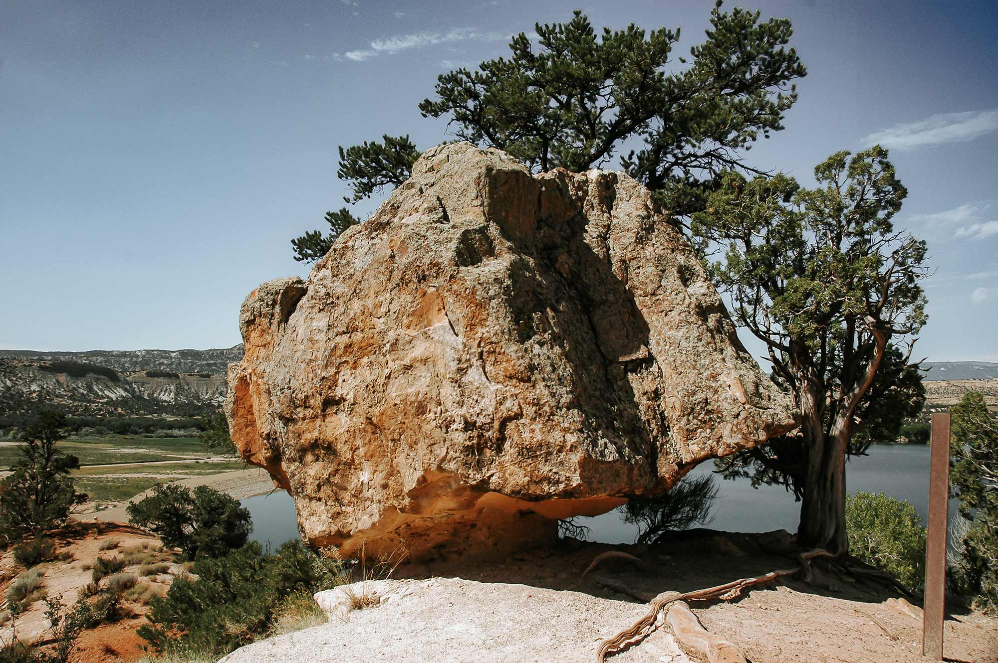Petrified Forest State Park utah