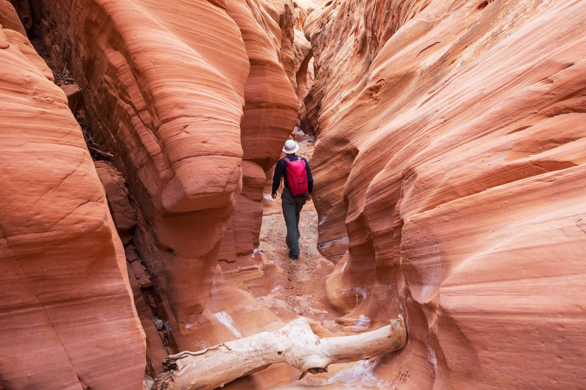Slot Canyons in Escalante, Utah: A Guide to the Most Epic Canyons on Earth
