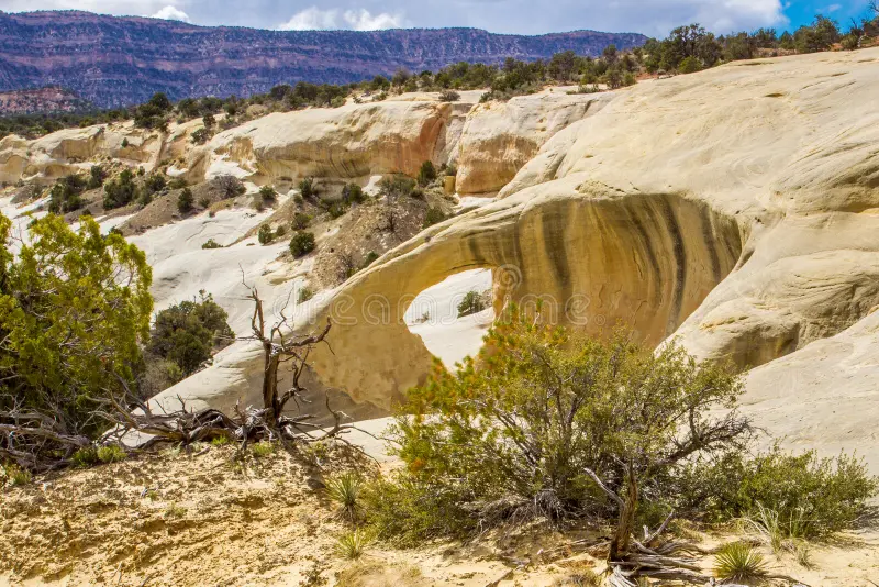 cedar wash arch grand straircase escalante national monument utah 53201498