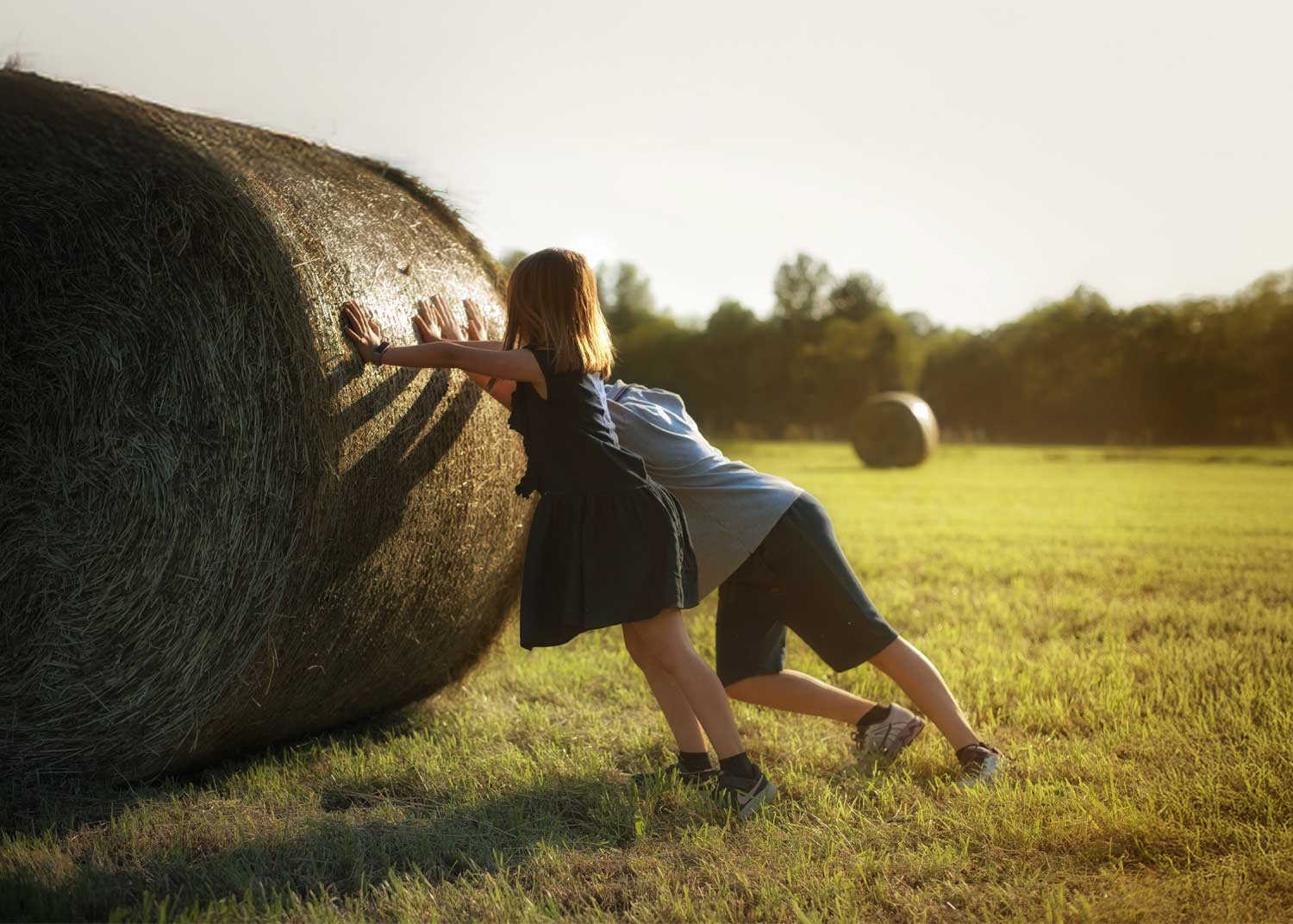 farm fitness kids quail run farm