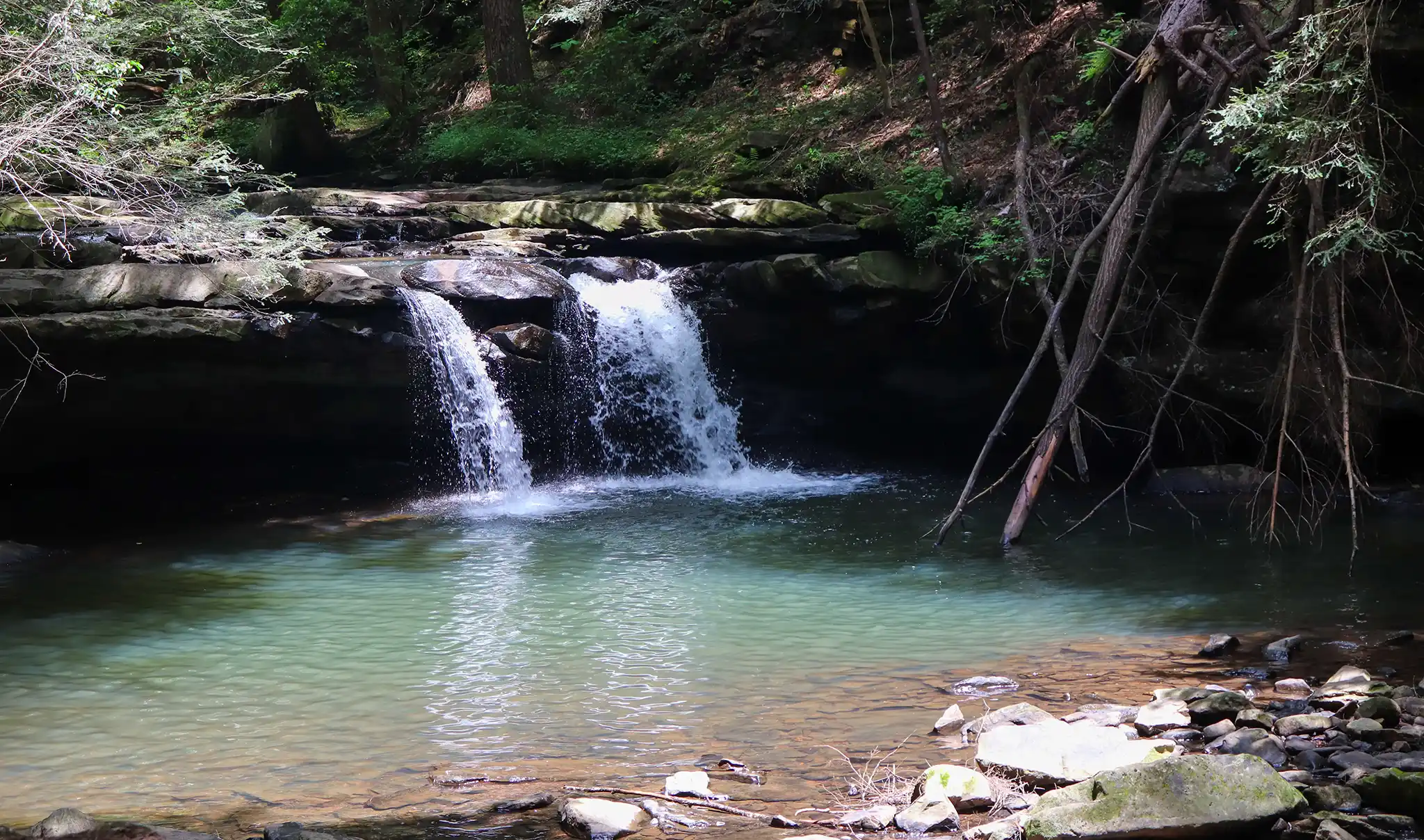 sycamour falls chattanooga waterfalls
