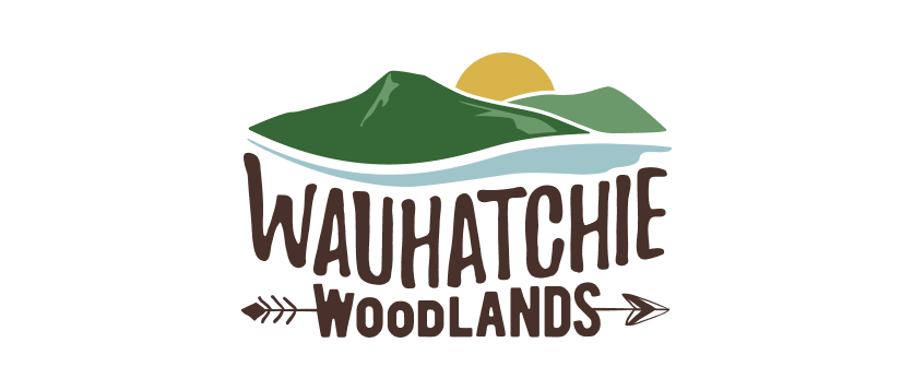 welcome valley villager logo 3